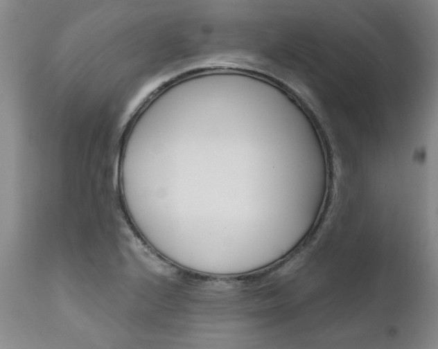 X0000111011224200906191200