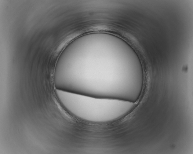 X0000111011225200906191200