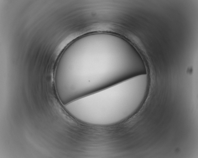 X0000111011226200906191200