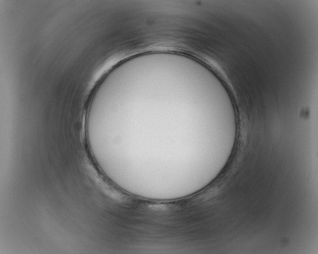 X0000111011227200906191200