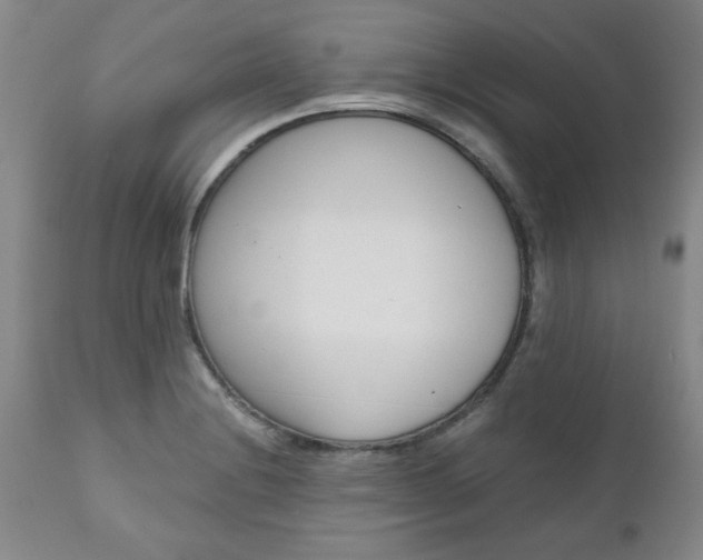 X0000111011228200906191200