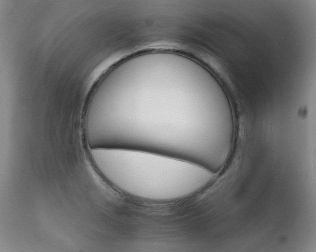 X0000111011229200906191200