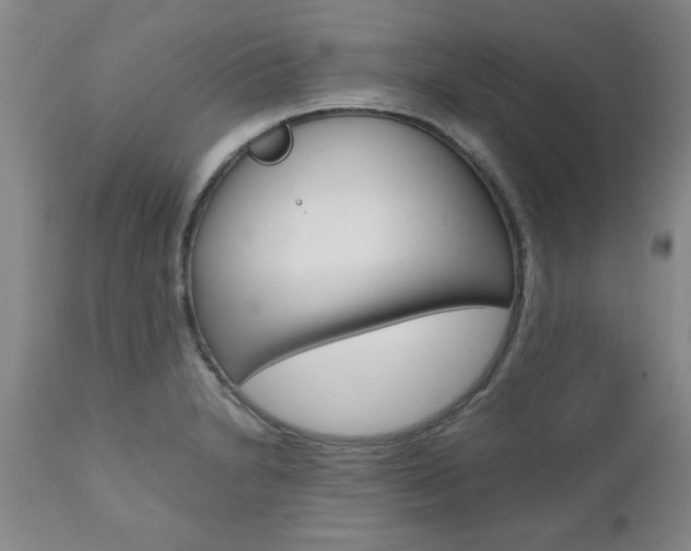X0000111011230200906191200