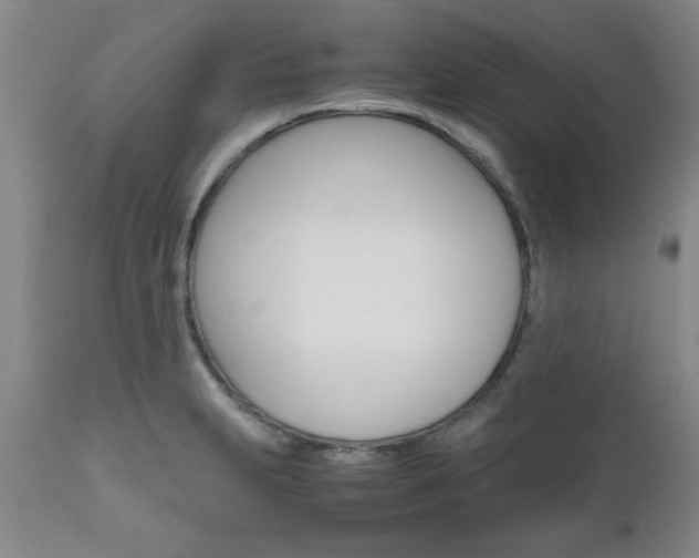 X0000111011231200906191200