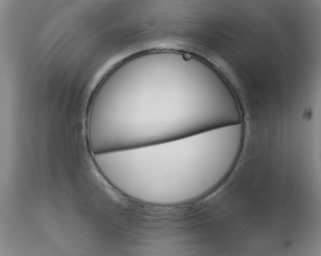 X0000111011232200906191200
