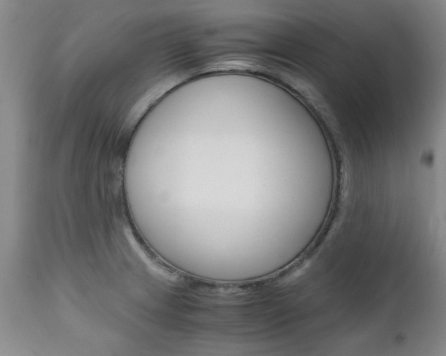 X0000111011233200906191200