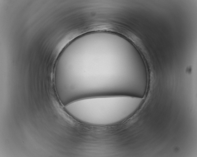 X0000111011234200906191200