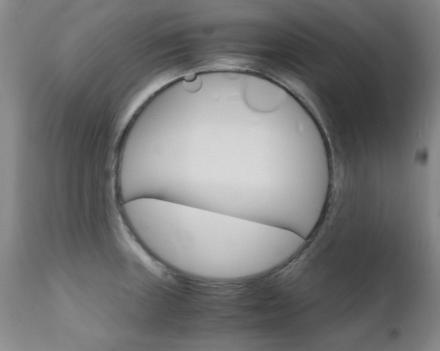 X0000111011235200906191200