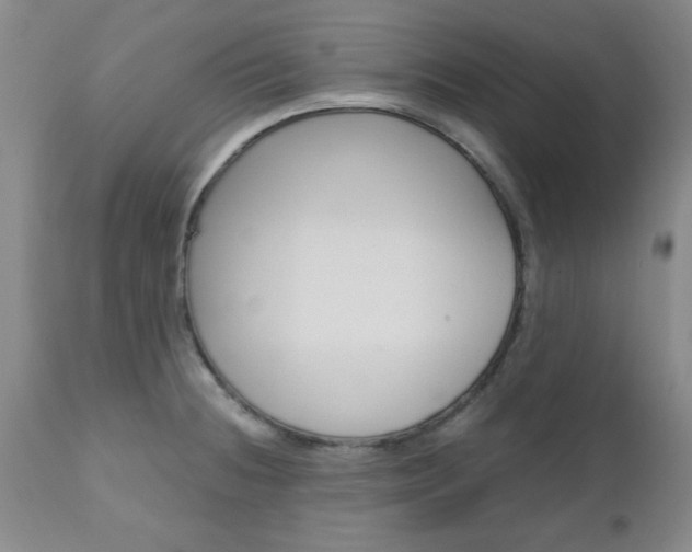 X0000111011236200906191200