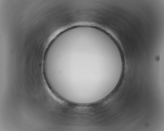 X0000111011237200906191200