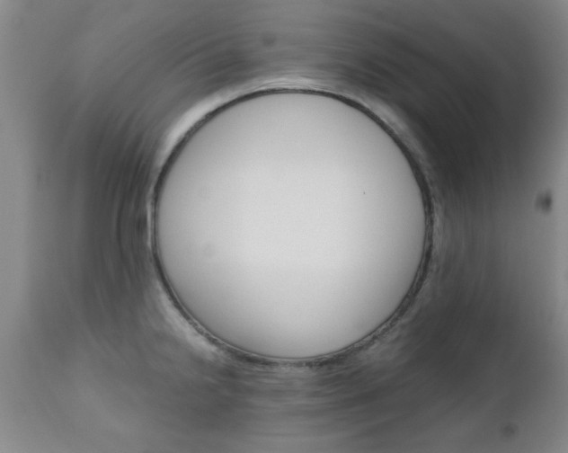 X0000111011238200906191200