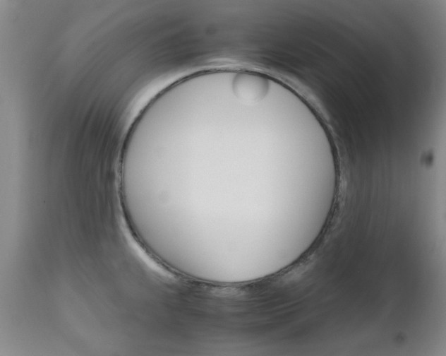 X0000111011239200906191200