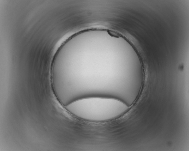 X0000111011240200906191200