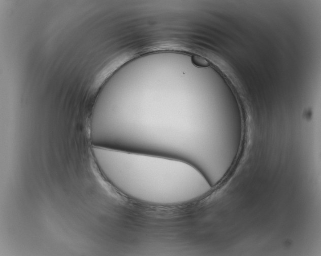 X0000111011241200906191200