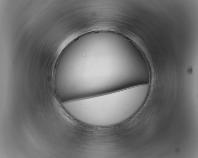 X0000111011242200906191200