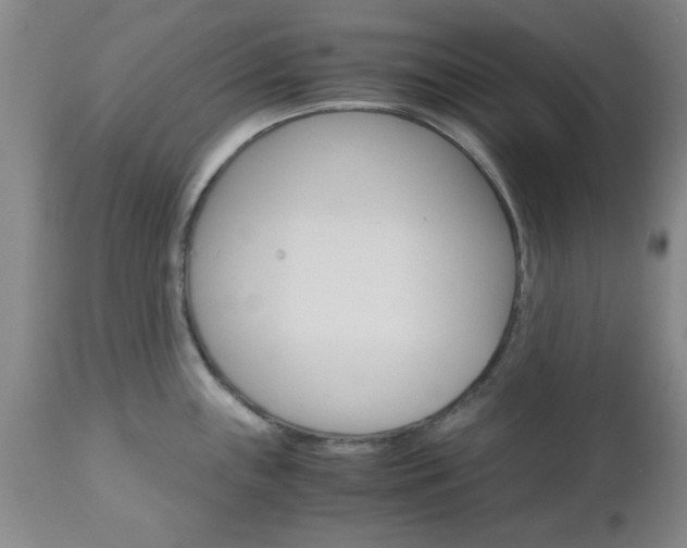 X0000111011243200906191200