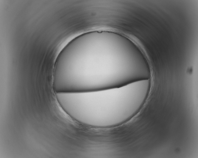 X0000111011244200906191200