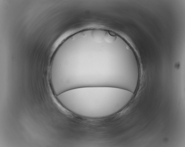 X0000111011245200906191200
