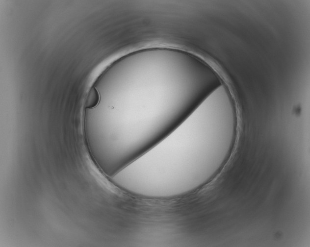 X0000111011246200906191200