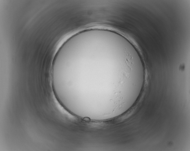 X0000111011247200906191200