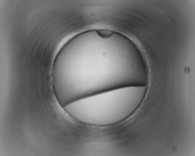 X0000111011248200906191200