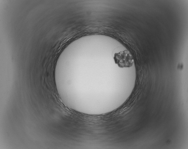 X0000111011249200906191159