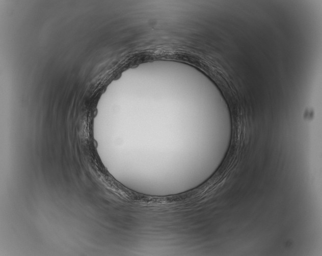 X0000111011250200906191159