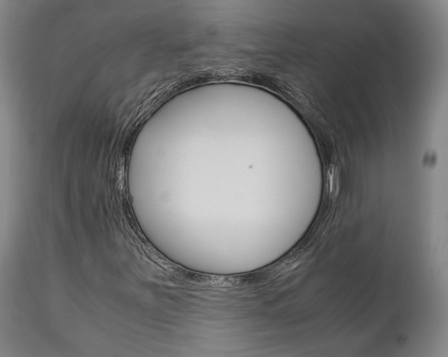 X0000111011251200906191159