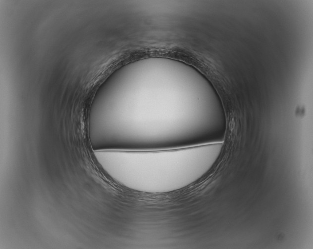 X0000111011252200906191159