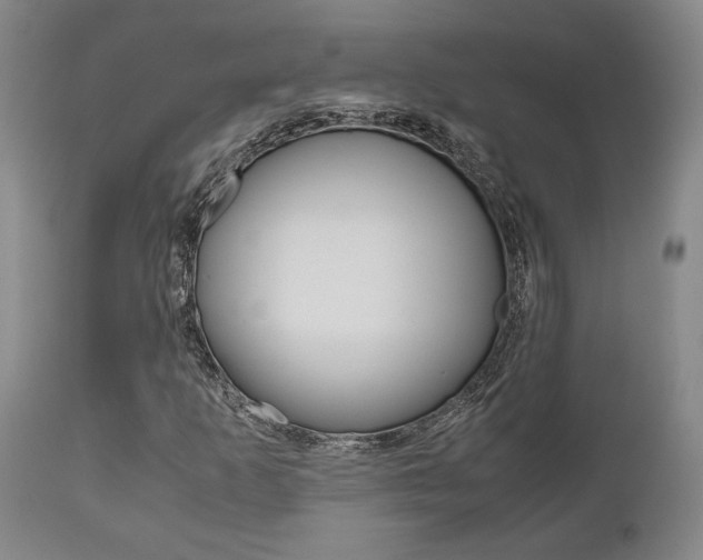 X0000111011253200906191159