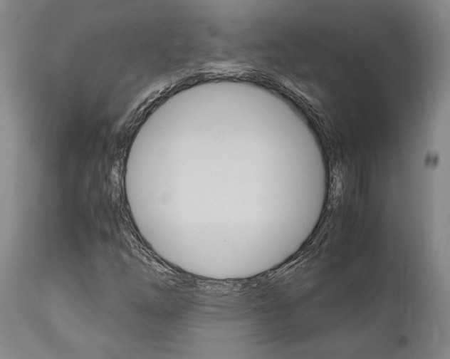 X0000111011254200906191159