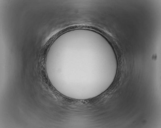 X0000111011255200906191159