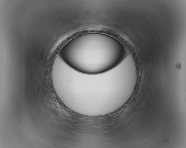 X0000111011256200906191159