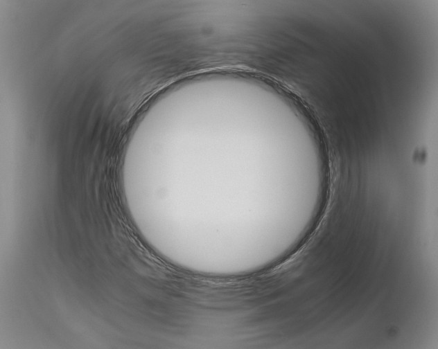 X0000111011257200906191159