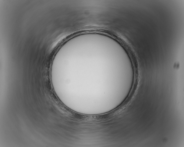 X0000111011259200906191159