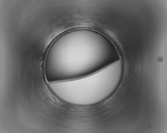 X0000111011260200906191159