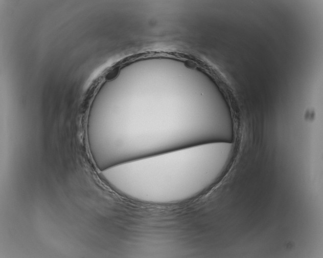 X0000111011262200906191159