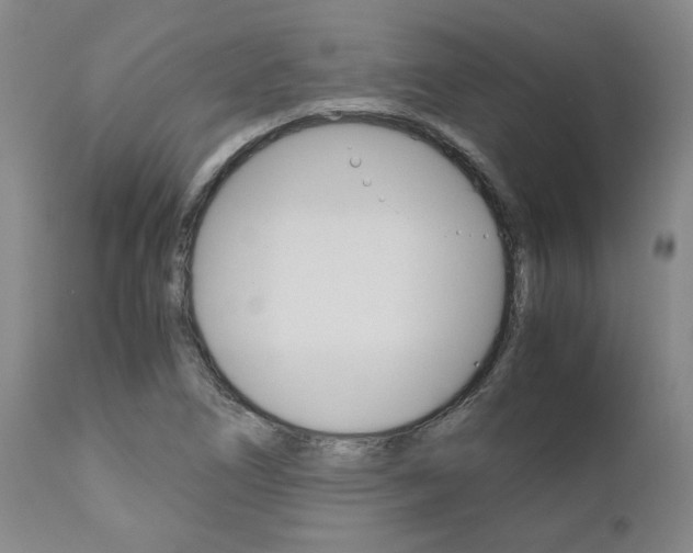 X0000111011266200906191159
