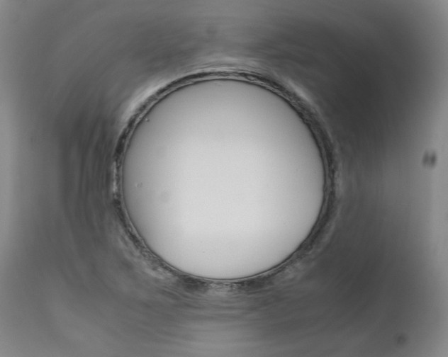 X0000111011267200906191159