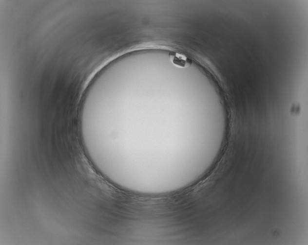 X0000111011268200906191159