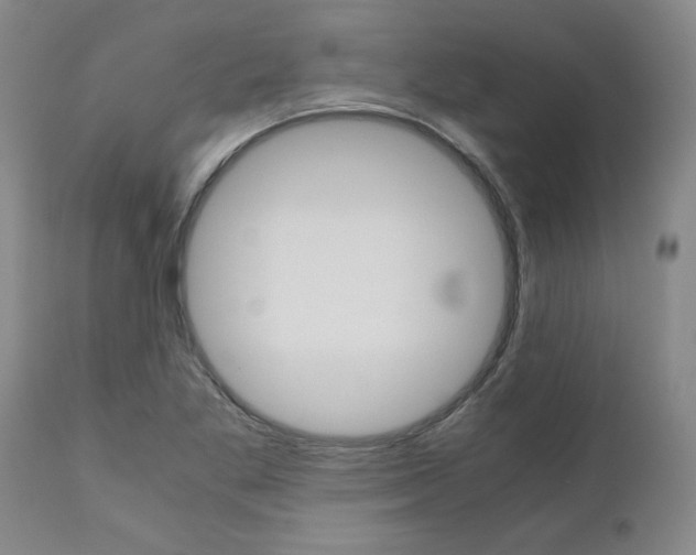 X0000111011269200906191159
