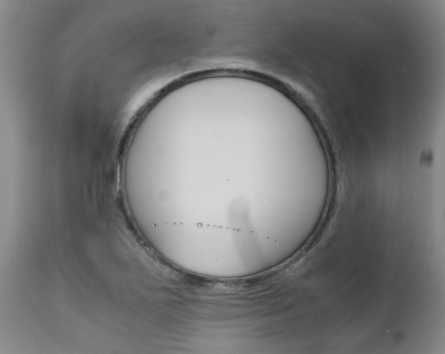 X0000111011271200906191159