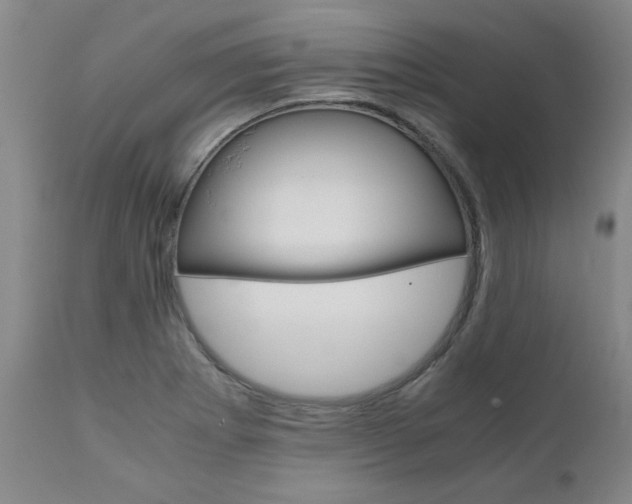 X0000111011273200906191159