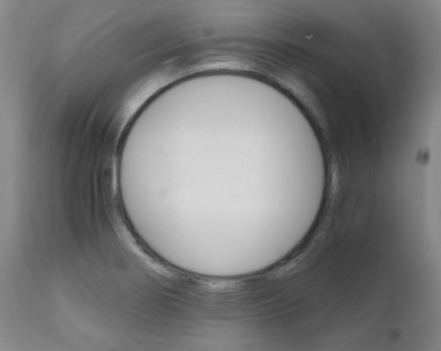 X0000111011274200906191159
