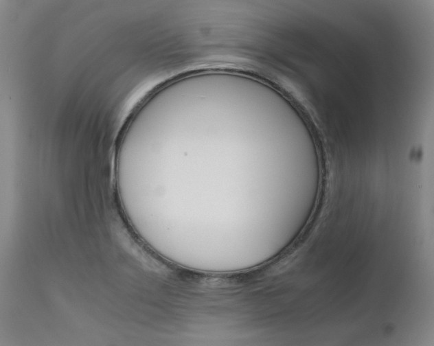 X0000111011275200906191159