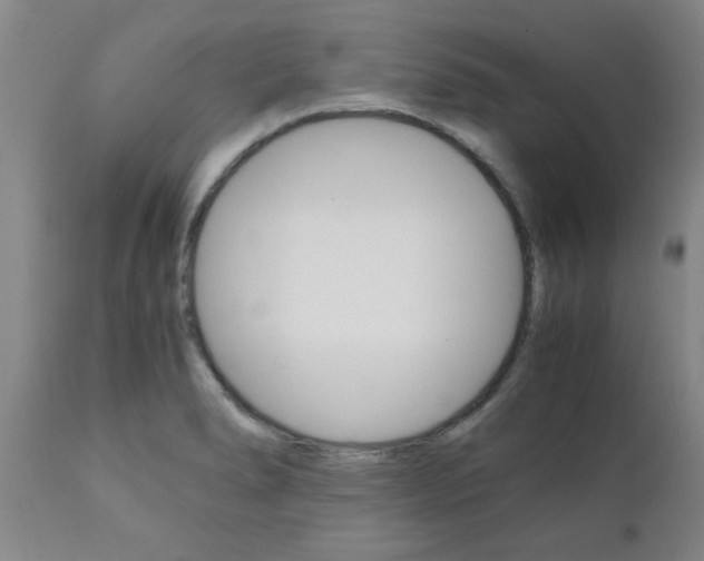 X0000111011278200906191159