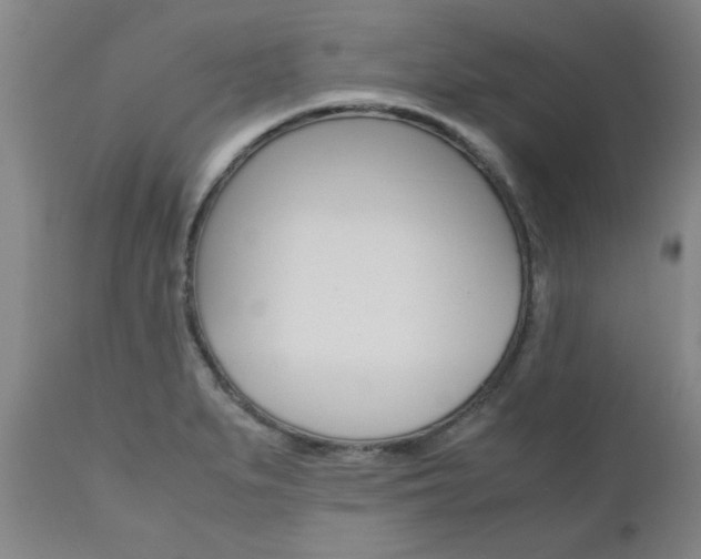 X0000111011279200906191159