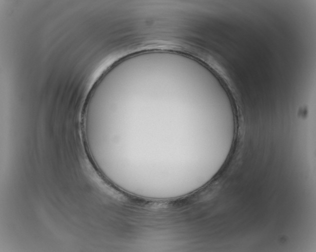 X0000111011283200906191159
