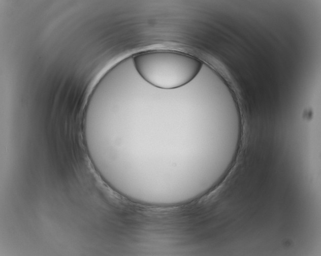 X0000111011284200906191159