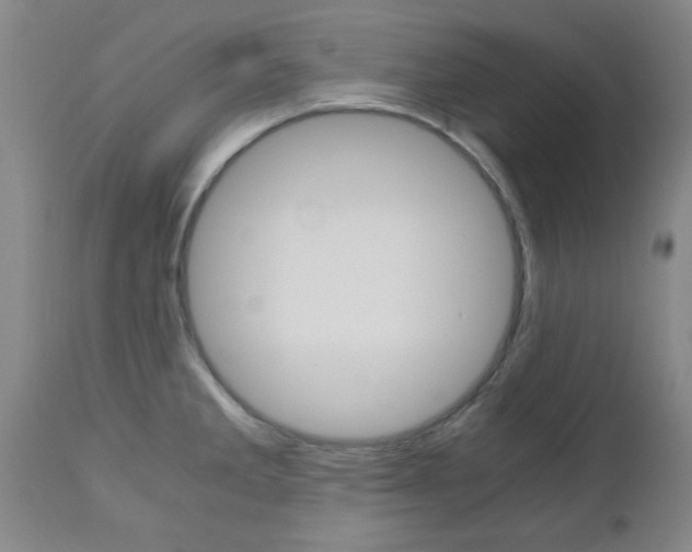 X0000111011285200906191159